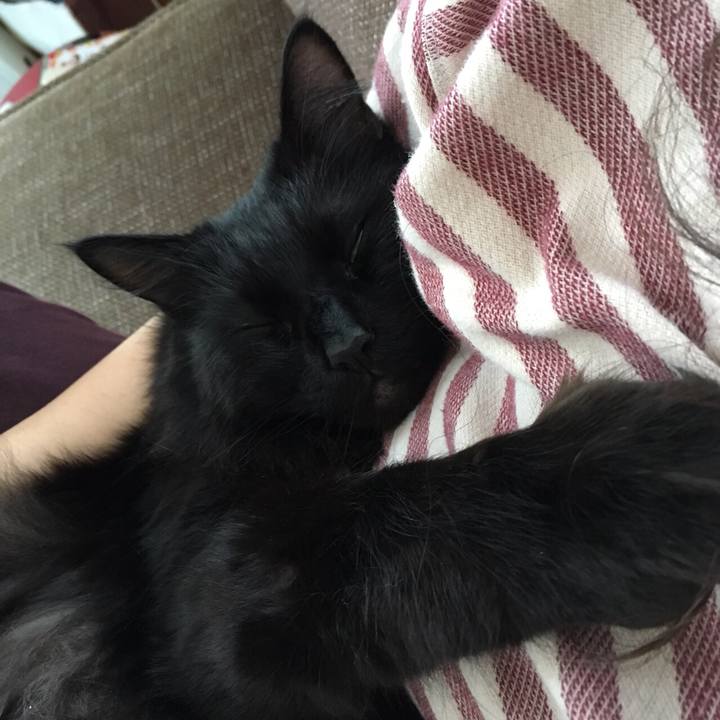 197b28c8 5084 409f 9cc4 673495e6aff7