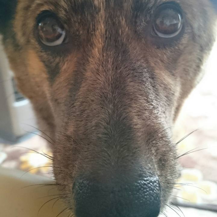 197b325d 6945 4ce2 8142 ccaab10e3978