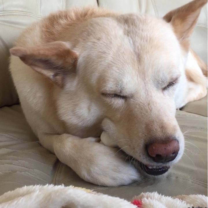 197b64f0 60f6 4a89 b835 10c159dcc602