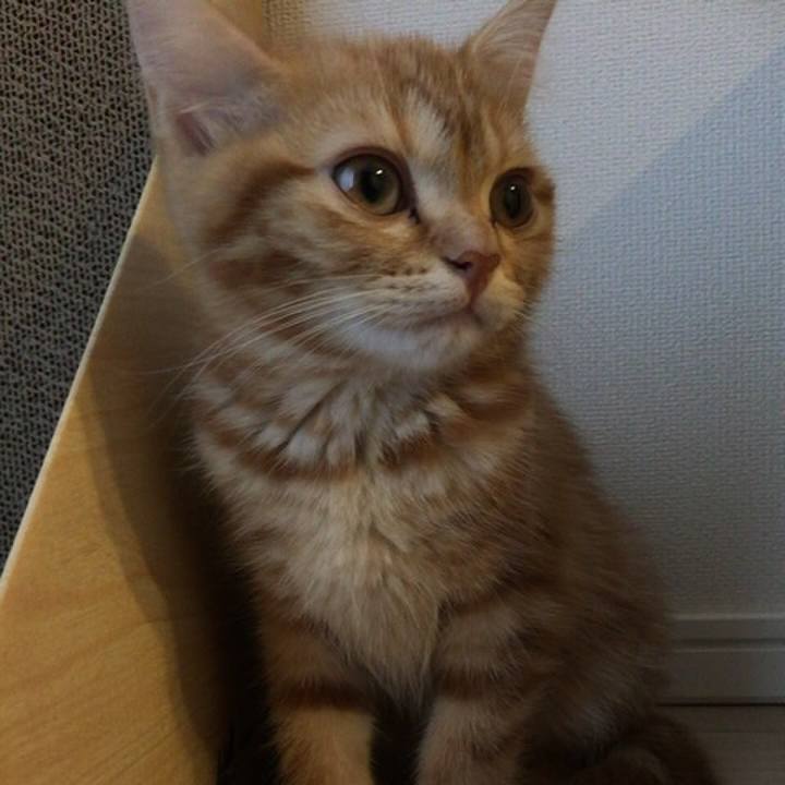 197bbe7b 9ff1 4400 9bf3 b917a5f32a70