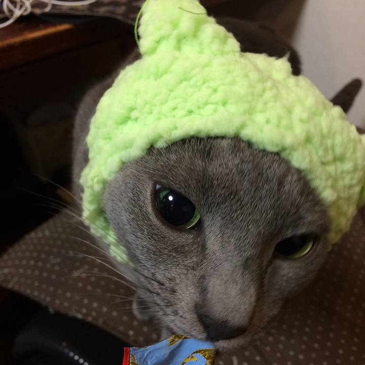 197bdd38 f8e6 4d7b 9d84 5c003a5431e2