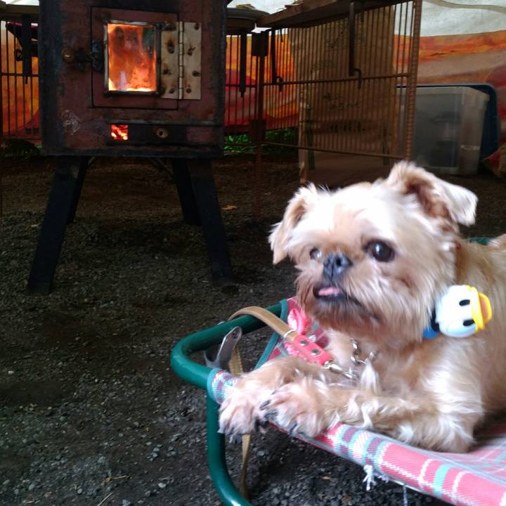 197c8a55 394b 46c1 8618 831283fbf135