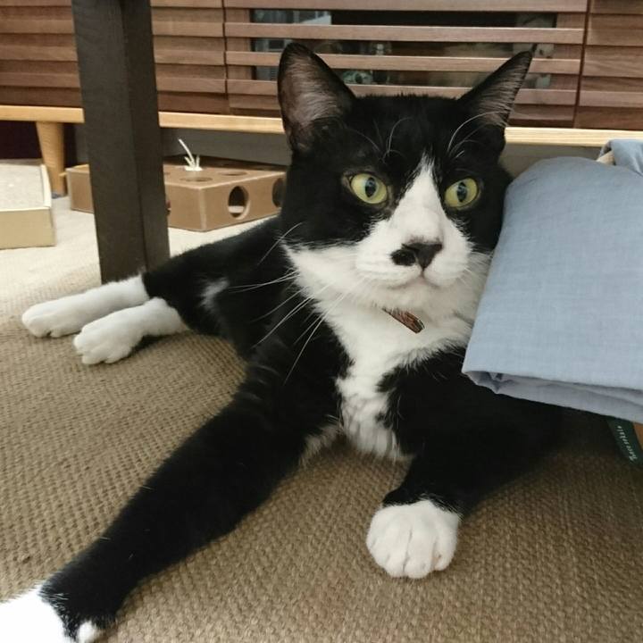 197cd5e7 653f 4eca af81 361d14cfd067