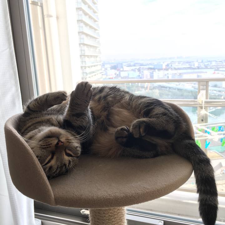 197df142 2c93 47d4 bb0a b58896442f71