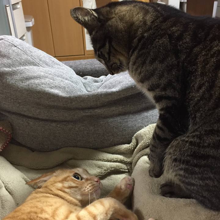 197e318a f53a 486b becc 0b8f40d07cae