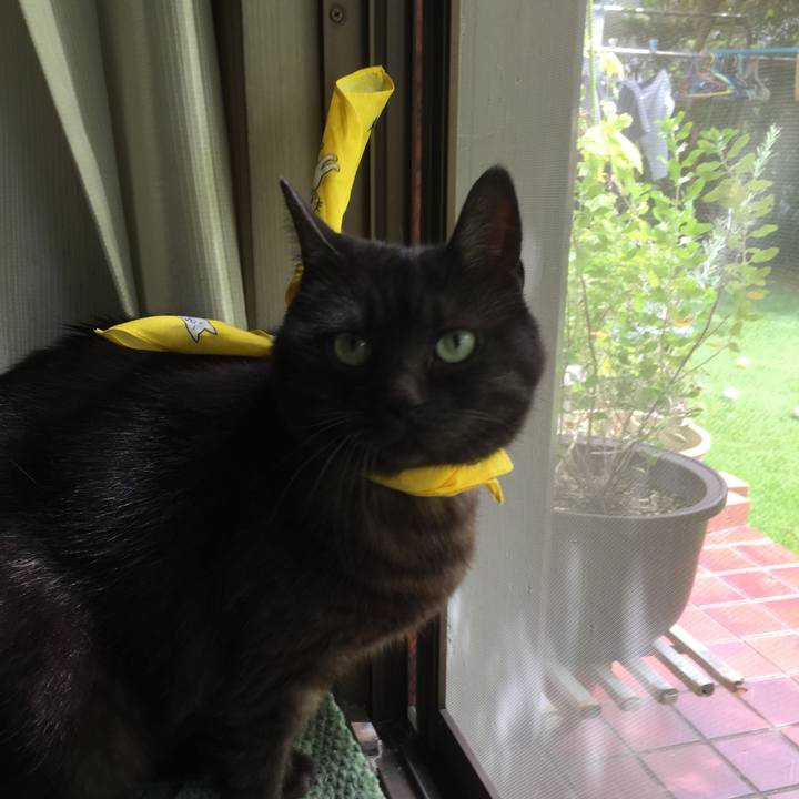 197eb61f 4190 4e0d 838e 46ad6eff5c21