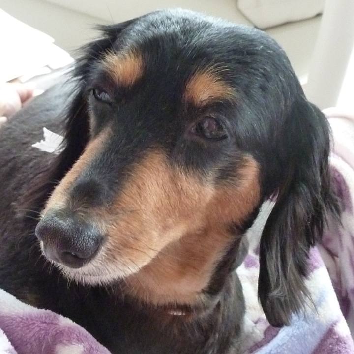 197ec1c6 f2a2 4ded b16f 60b2d70ff038