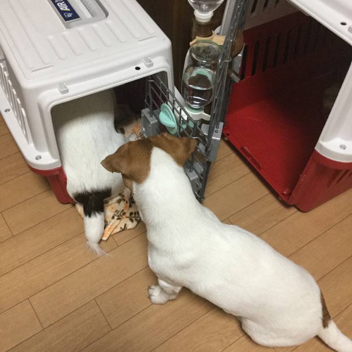 197efd66 b3f7 4f51 9c58 1d7c0e3a6790