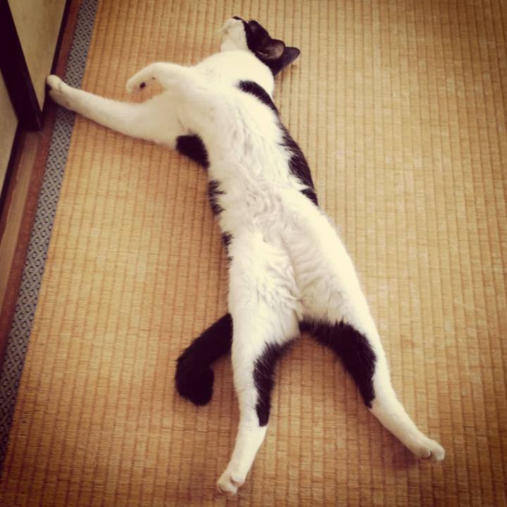 197f5ed2 d1a2 4392 8694 7179beb0ee5a