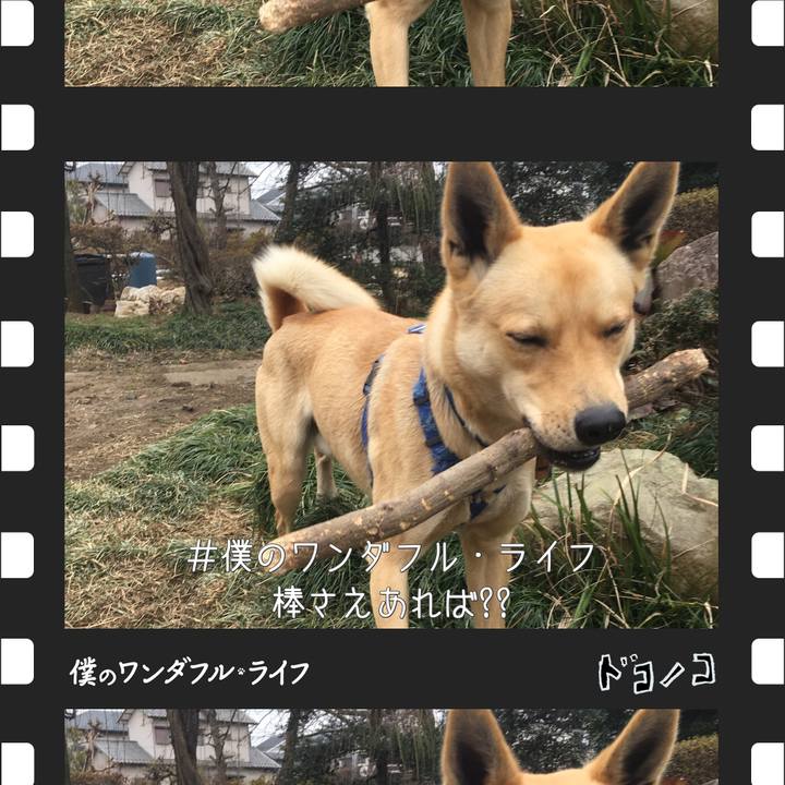 197f974e 41c2 4830 ac10 81b25b049d65