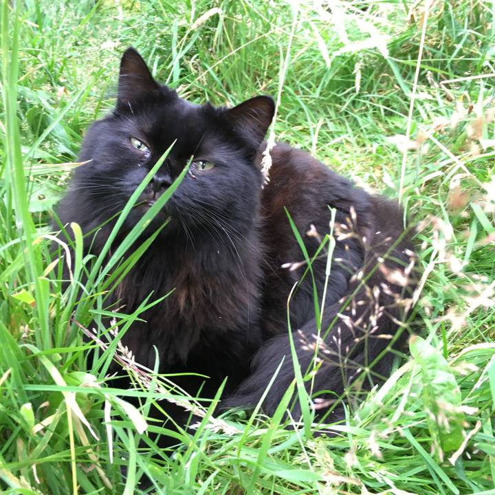 198046ab f10f 45cd a55a 095865edd4d7