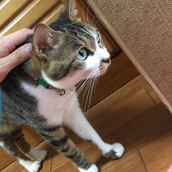 19807ffe c1c7 4381 bd1b 0cd8484b290e