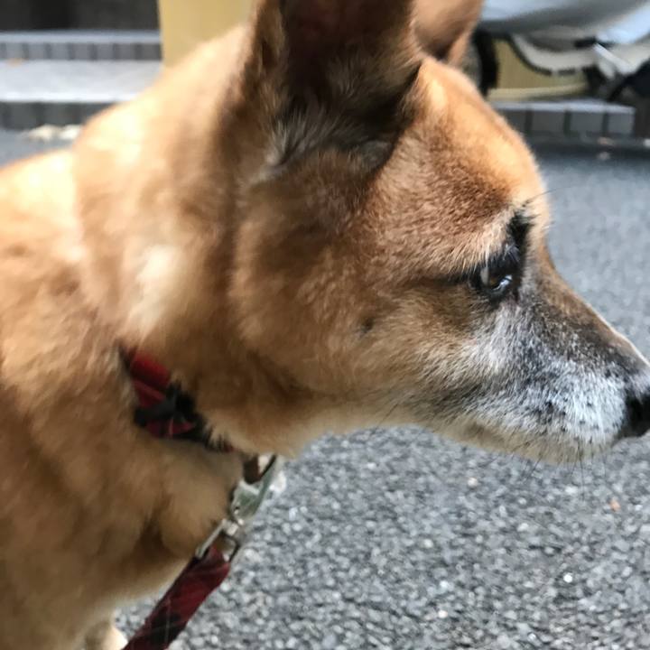 1980d208 2ff9 4694 963a fb97bee17d07