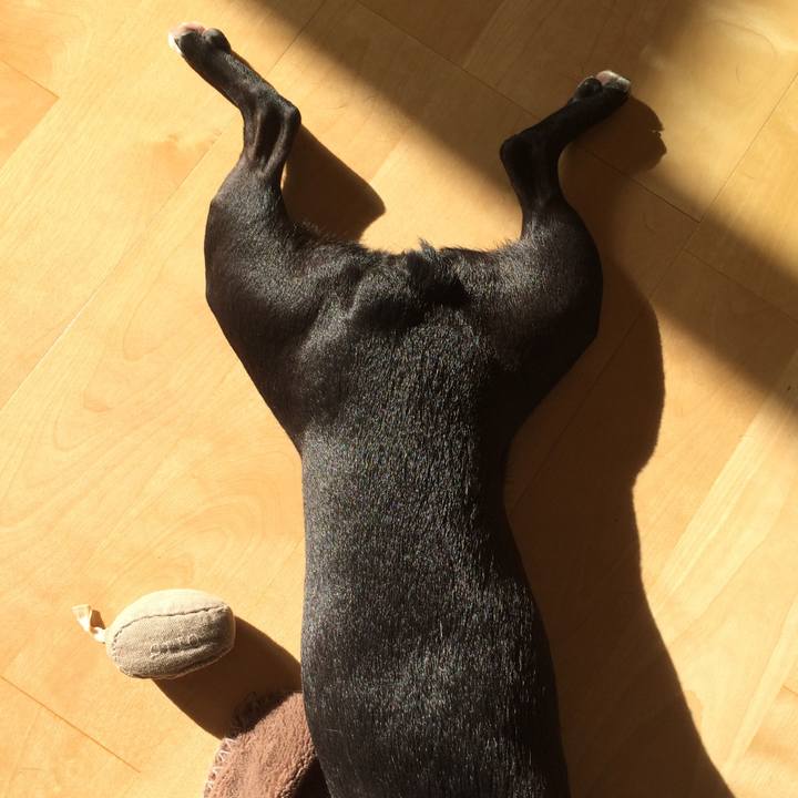 1980df88 c3c4 4e6f b1fa de18912828d6