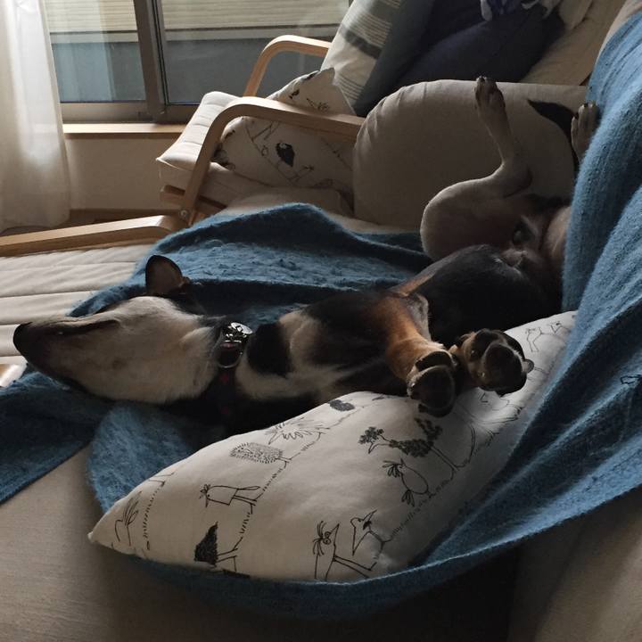 1980eaf3 8785 4e93 a5cb b936d23d85ab