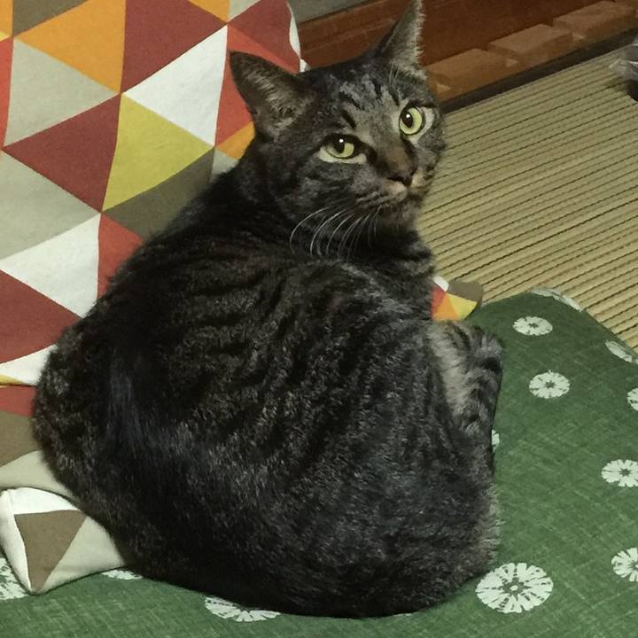 1981c1fd 7cda 4d77 8230 3b1b705392f2