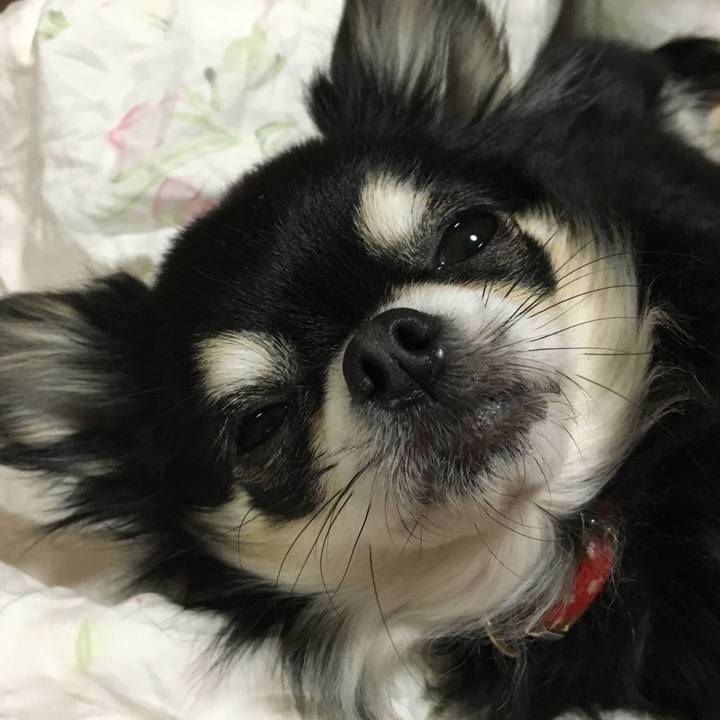 19821c7a 113d 4daa 83e9 a0bb9c8d1a84