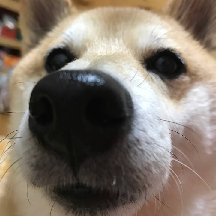 19823830 d1f1 44cb 84cd c7b58c609d05