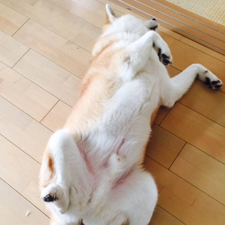 19829a35 75ce 4356 adca c79d6b4e52fd