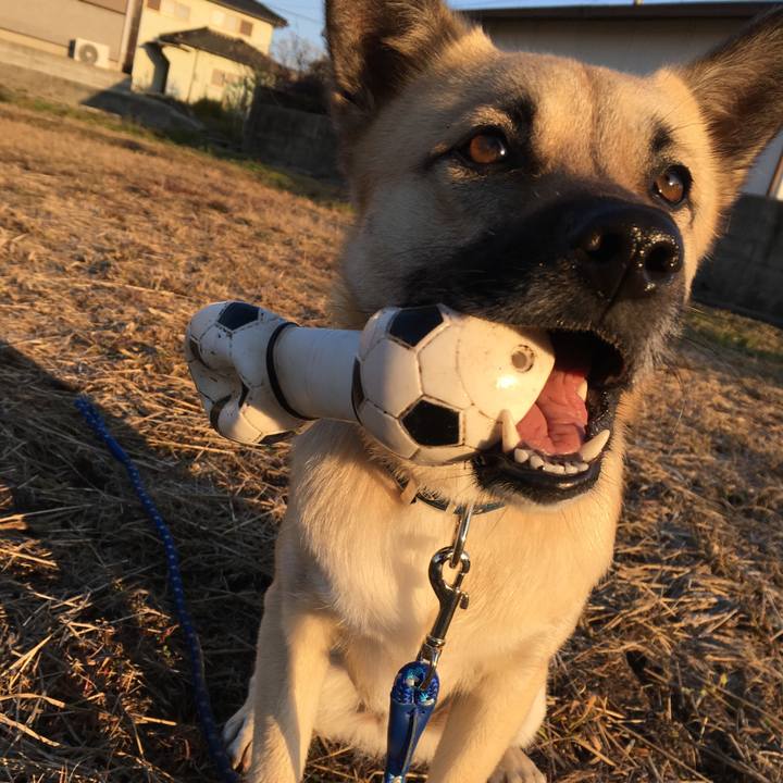 1982c156 ad5e 4da5 b027 803ddd28eb69