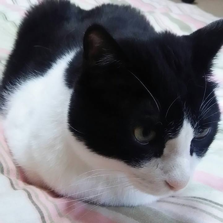 1982c4f8 1022 4152 904a c88c95859190