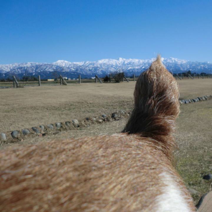 1982dcb2 94de 43e4 bf4c 7f9b248850b0