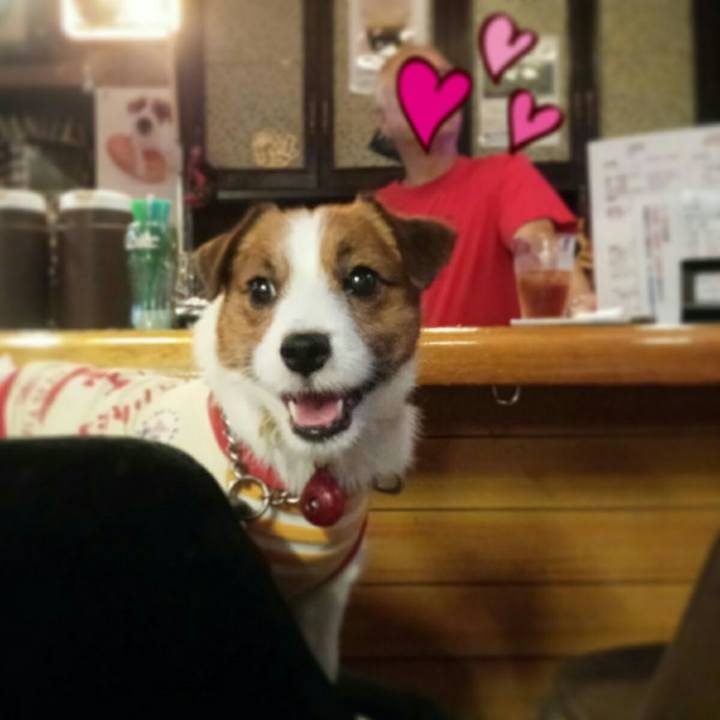 19838ba1 a2b0 4fdf 814b 1b3bfdb5c6f3