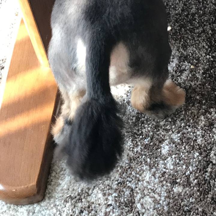 19841a2b f7b4 4912 b188 37a5b5722e26