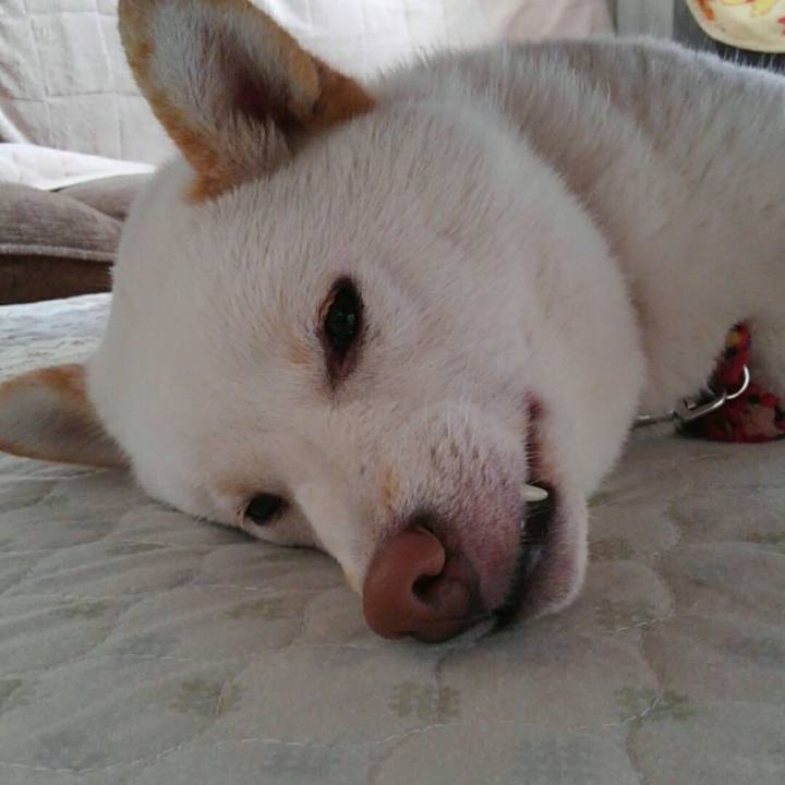 1984deca f7da 49d5 950d 31c5e8aa149f