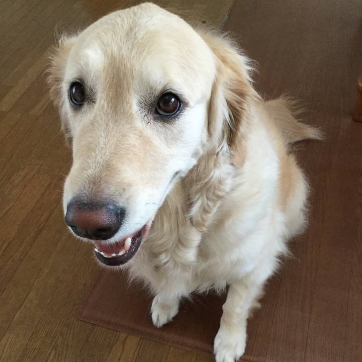 198553ec f7fe 40a6 8018 5a58961e3412