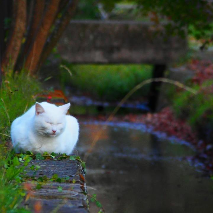 19857b72 96af 4268 b7f4 81ddb3174f81