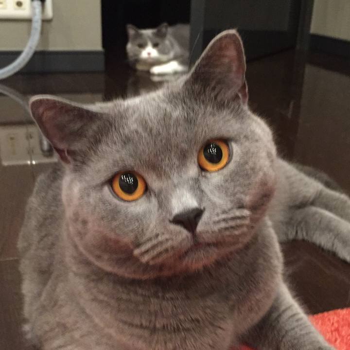 19862f2f 1456 4cf5 be46 76296aa36dd7