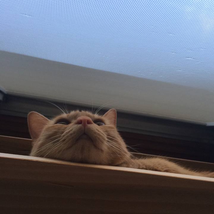 198647cc 7403 4348 9b9f 0d351d7d1a36