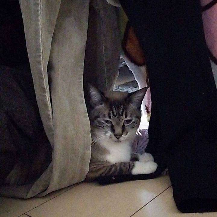 198672c5 7b2e 49da 99fb a2d07cd85a59