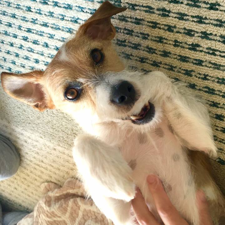 1986b9f3 a475 4a24 bd53 284cd99460af