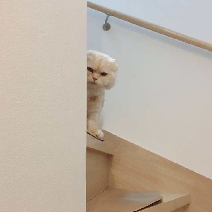 1987314e 18bc 49fe 84b5 b95adefca13c