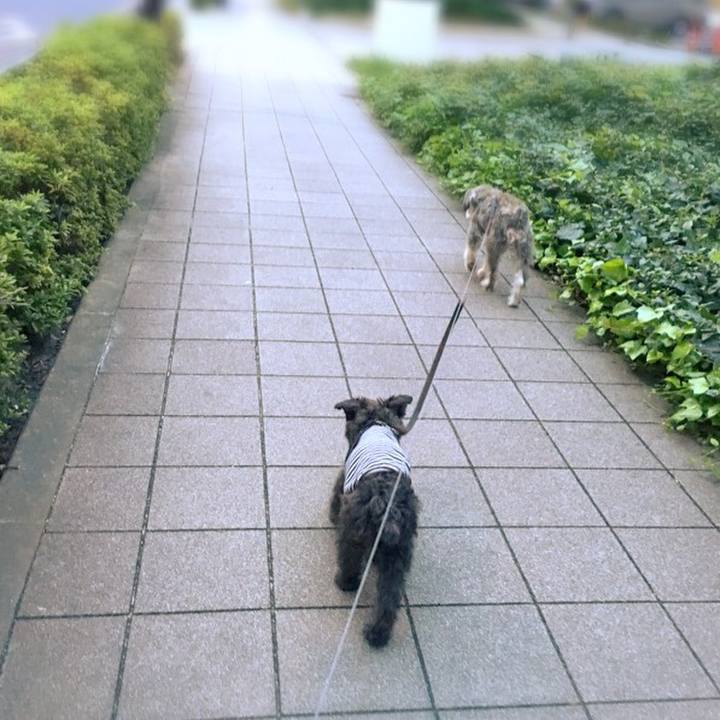 19880daa c4ef 4690 8f68 7d3919e06502