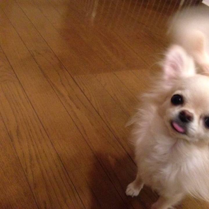 19888e60 43a7 4c02 993c 6bd6833710eb