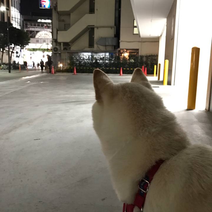 1988dd90 8677 4ba3 97e4 99d781094297