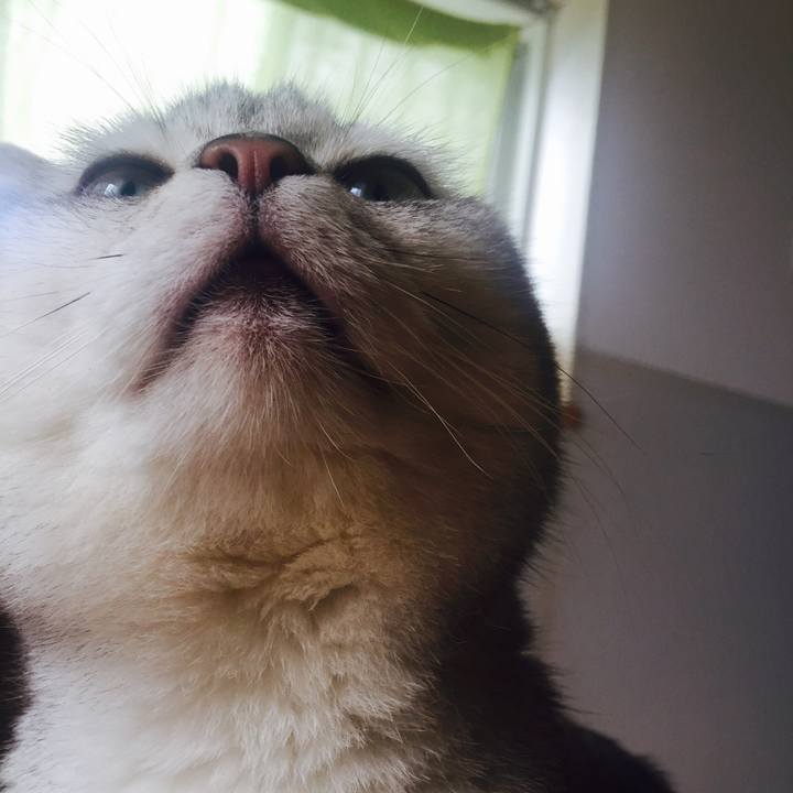 1988eb7a 0c48 4865 bd3c 890cac8db60e