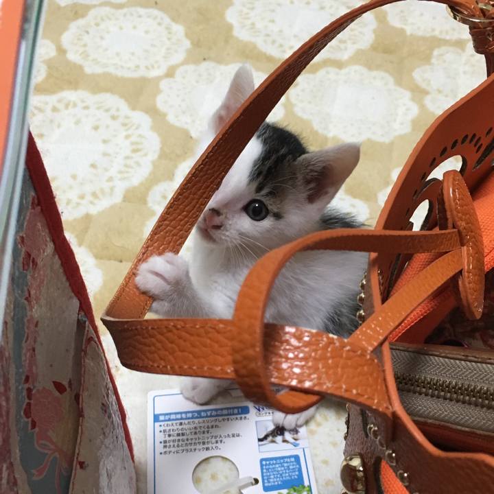 198a9e99 1beb 45a8 b2b3 919a4cc57d02