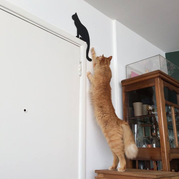 198bfb5e 821c 4f0b 9f5d afa0e3cbbeed