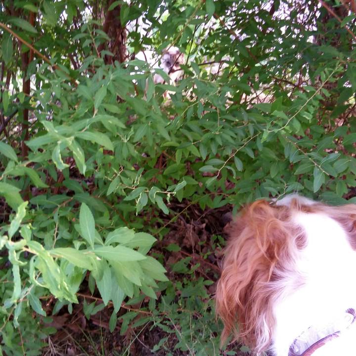 198c2090 f42c 49bb aea5 13da962a47c1