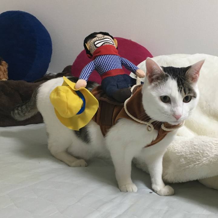 198c9e2b 7081 4580 9611 96c3c97ec9d7