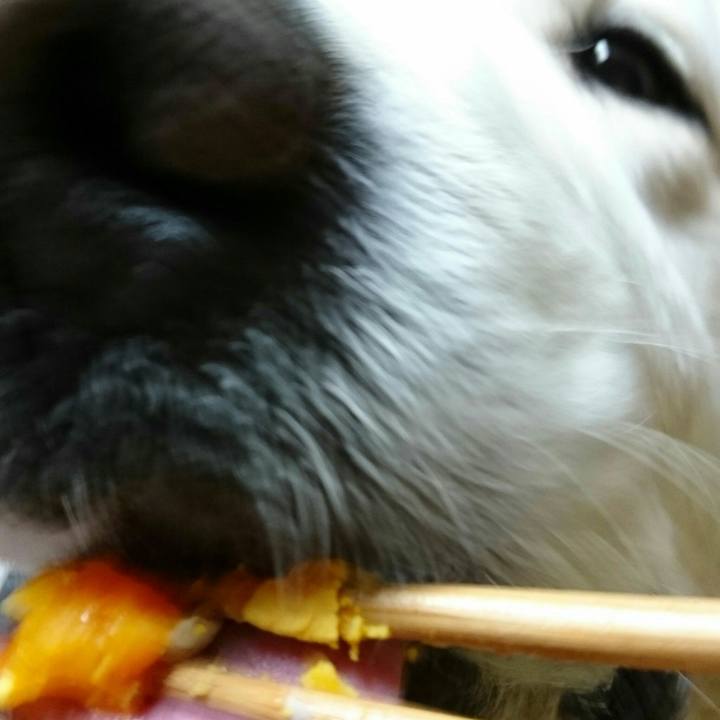 198cd132 d1ca 4094 a541 76fa3e67164c