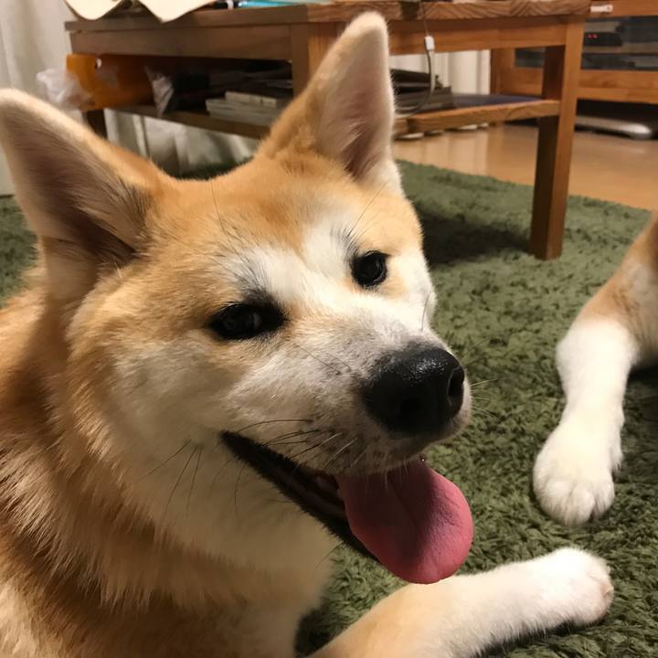 198dcdea ddc0 4274 9bcd 321ae31a587d