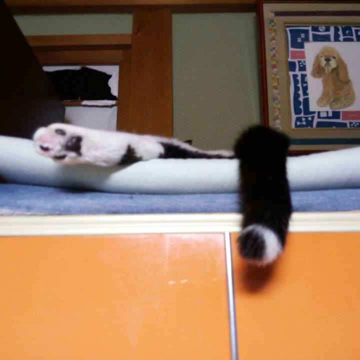 198df250 2dd7 4406 8924 ffc47248f130