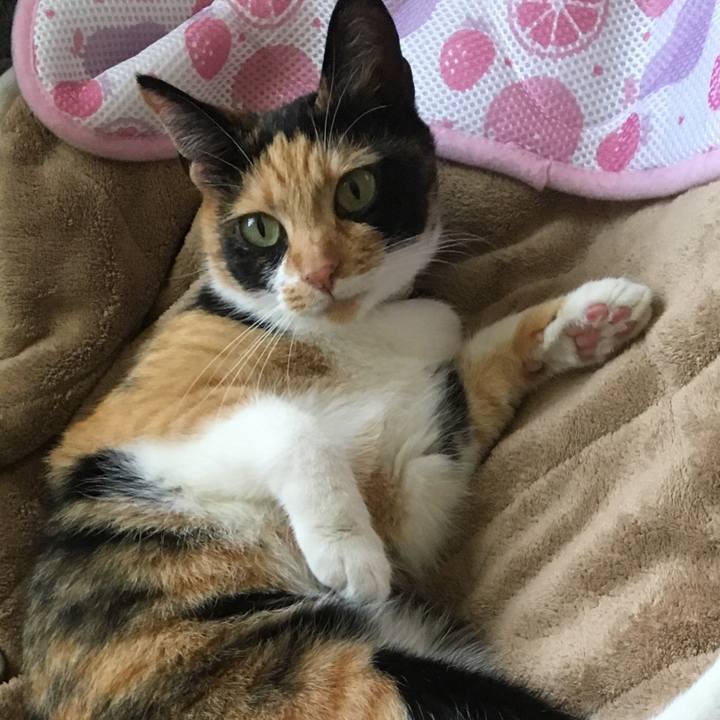 198e9010 840b 4b06 b691 451a3c7590f5