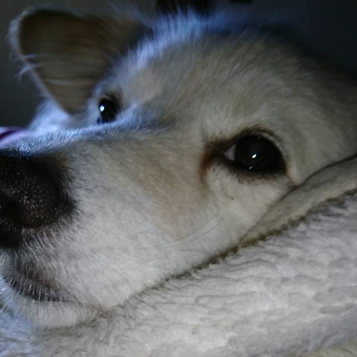 198f7d52 3398 4170 9373 6631014a711c