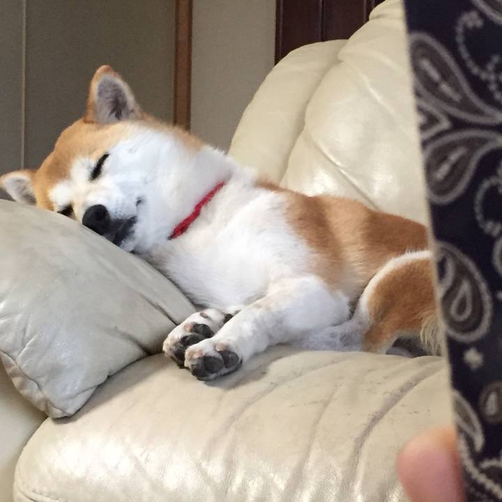 198fc4cf 4eed 4b13 a29e a02559341dbb